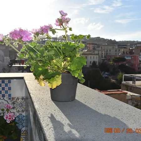 Casa Materdei-2